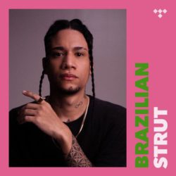 brazilain strut playlist pitch