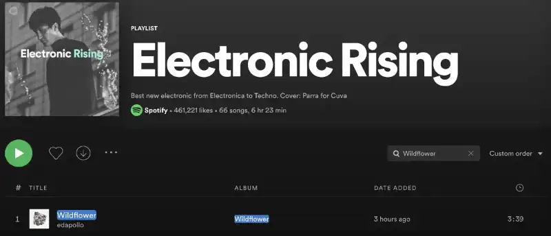 Electronic Rising playlist