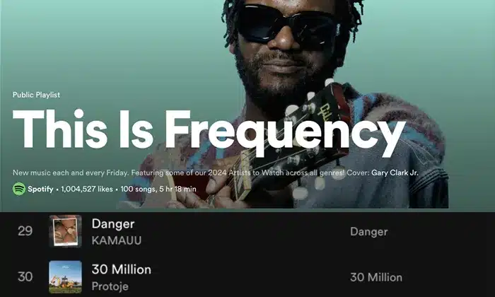 A person wearing sunglasses holds a guitar in the Spotify album artwork for the public playlist "This Is Frequency," which features a collection of 100 songs lasting 5 hours and 18 minutes, offering an intriguing Grace Gaustad case study.